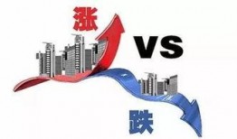 mwt最新爆料,揭秘娱乐圈最新动态与幕后真相