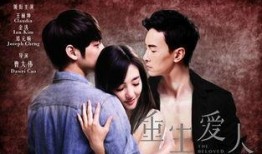 爱人电影在线观看,在线观看，情感共鸣之旅